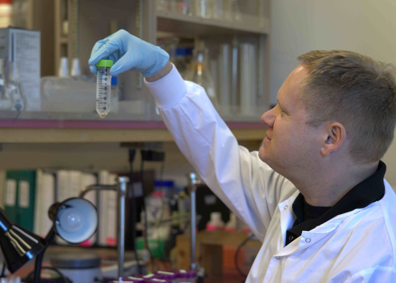 Histotechnologist examining tissue samples