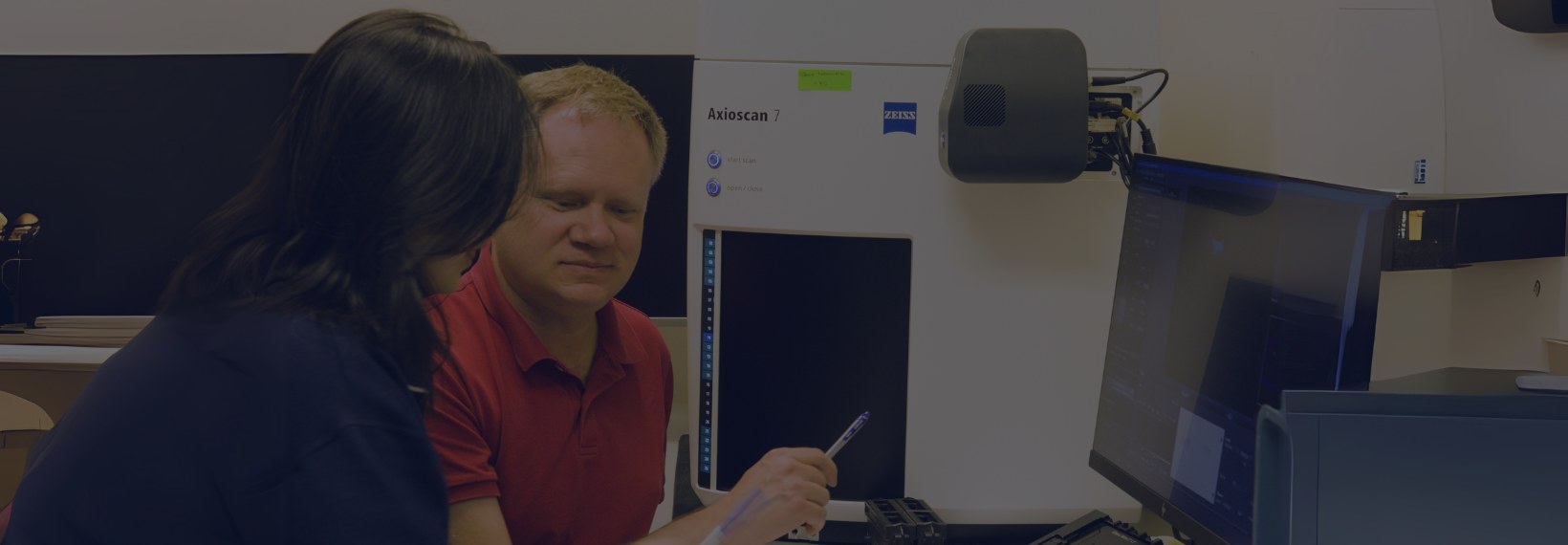 Histotechnologists at work