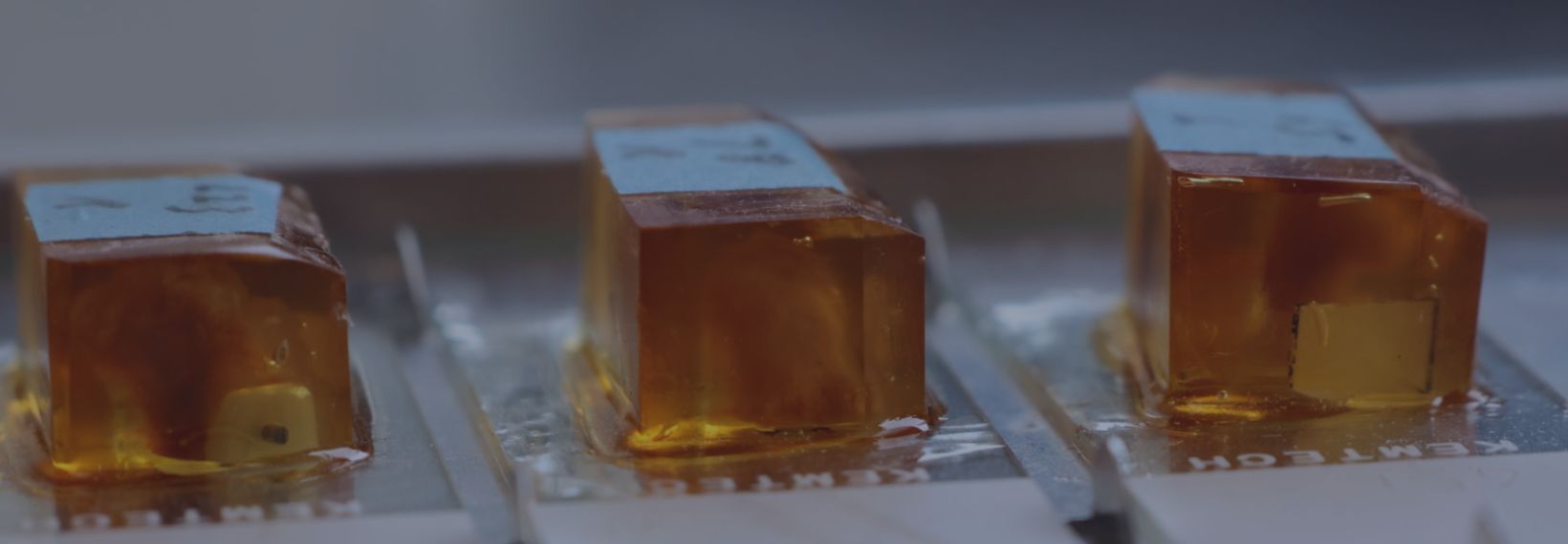 Resin histology - samples embedded in resin blocks