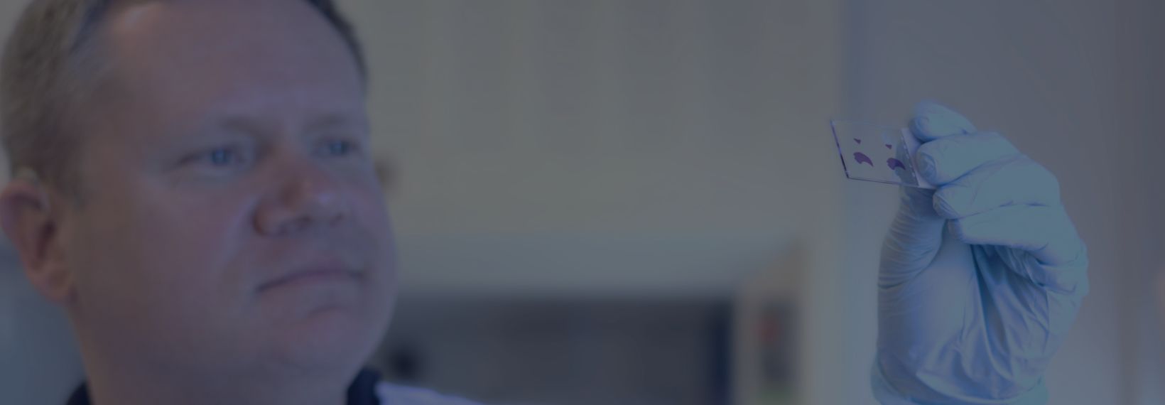 Histotechnologist examining a stained slide